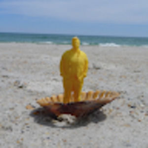 Meet your Posher, Liz